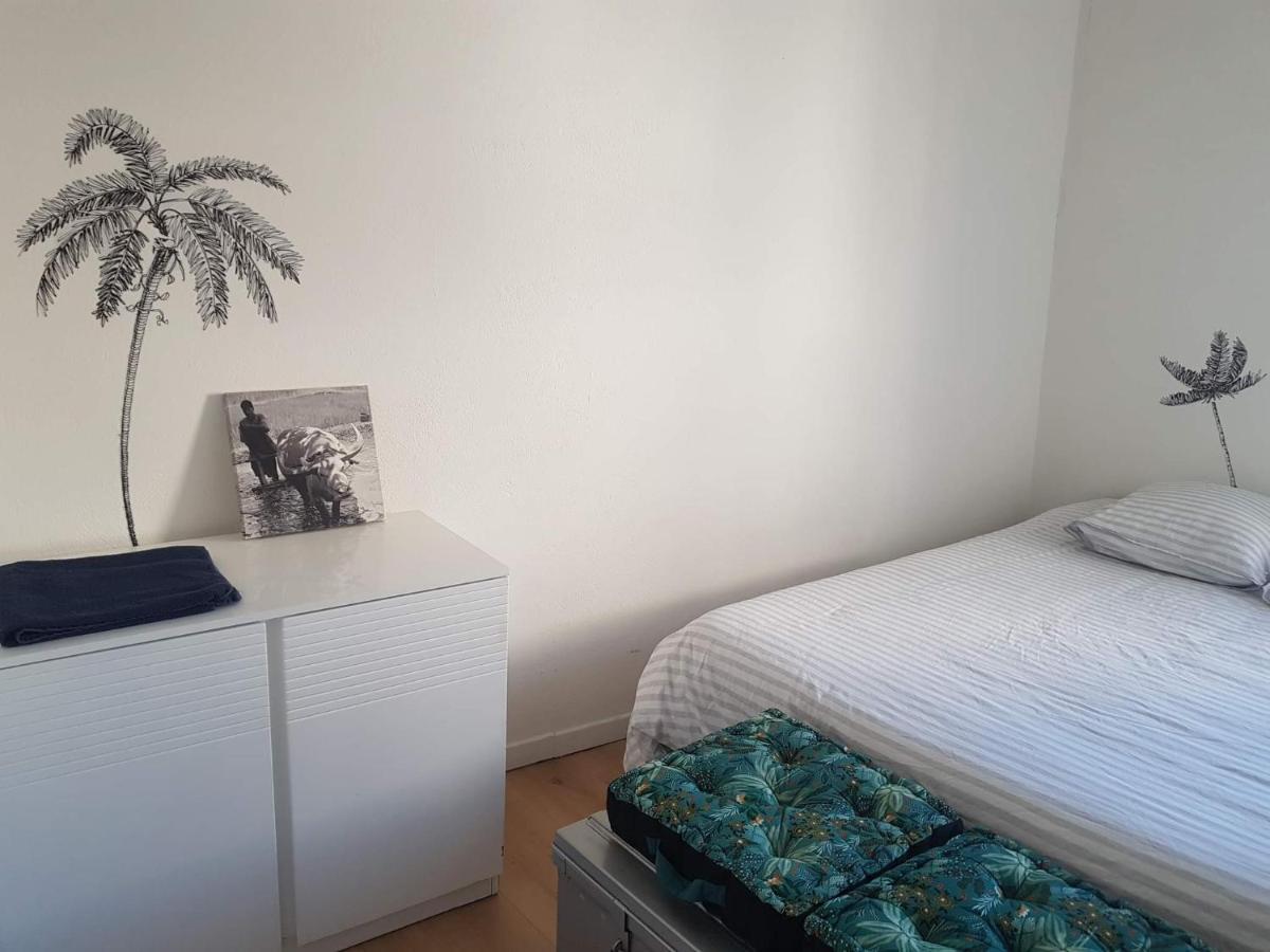 Eco'Cooning Appartement Nîmes Buitenkant foto
